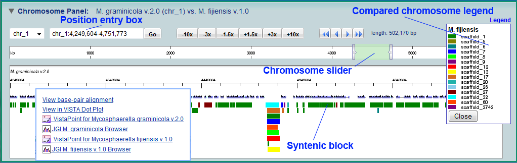 The Synteny Chromosome Panel Screenshot