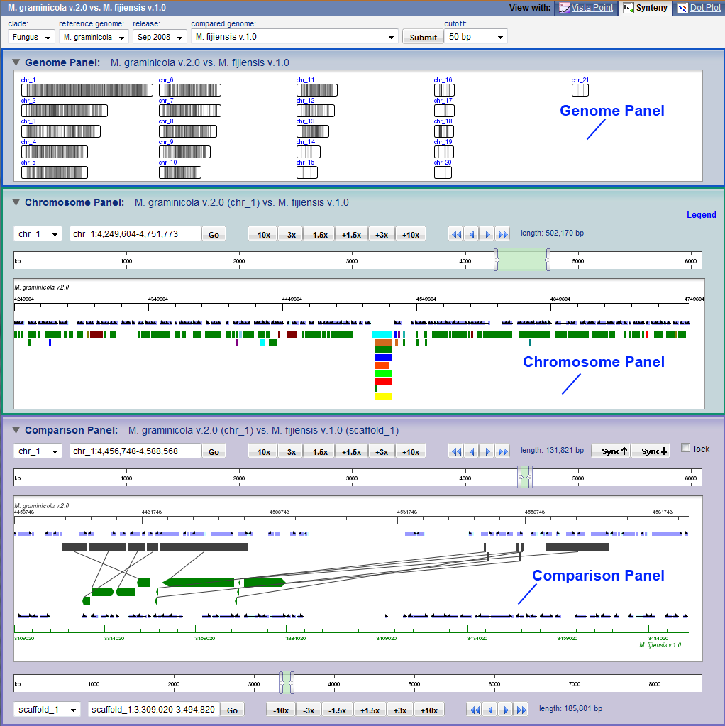 The Synteny Browser screenshot
